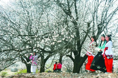 体育赛事免费直播 高清流畅